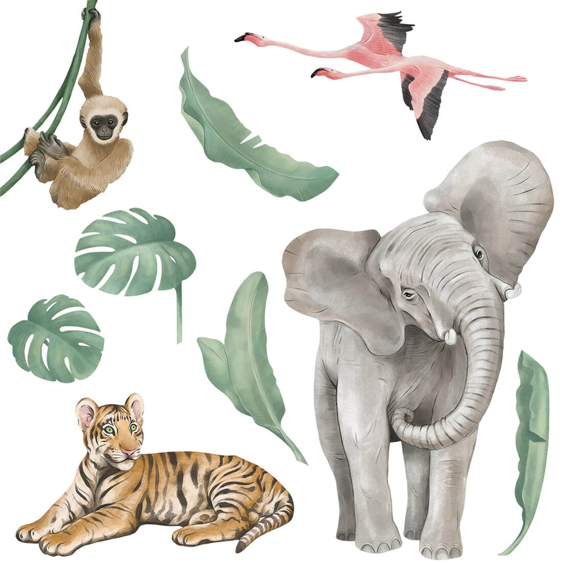 Kolekce Safari 