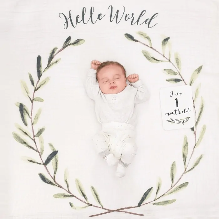 Sada fotodeky a kartiček Lulujo - Hello World