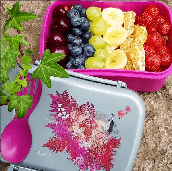 Carl Oscar Svačinový box N´ice box s chladicí části - Love