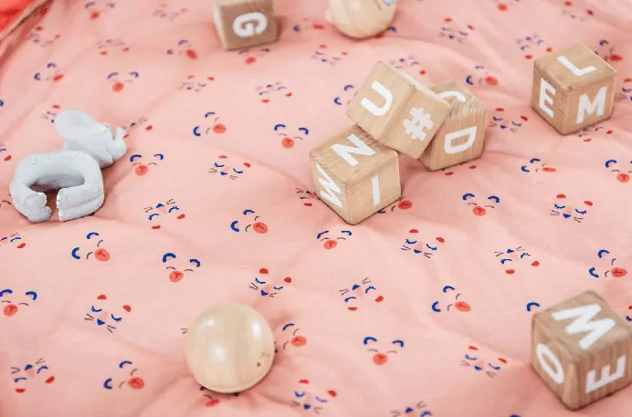 Vak na hračky/podložka na hraní Play&Go Soft - Animal faces